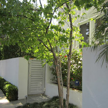 Catz' Marigny Gardens