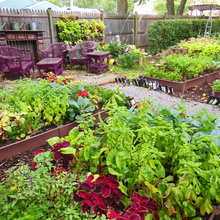 Gardening