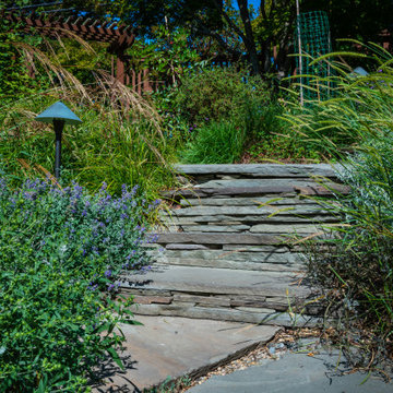 Grassy Meadow Oasis - Reduces Waste While Increasing Habitat
