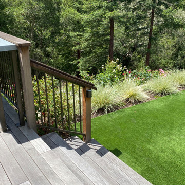 Orinda Moder 'Mt. Estate'