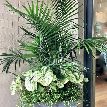 Summer Container Gardens
