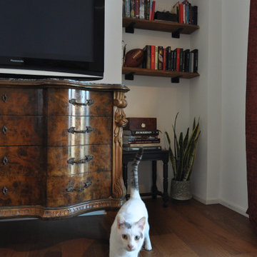La casa dei gatti