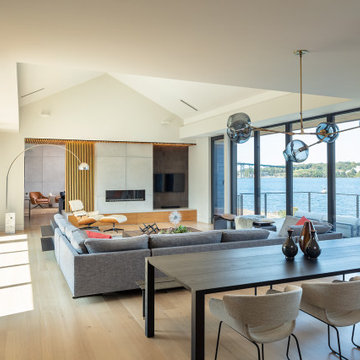 Modern Living/Dining Room