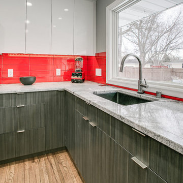 Coon Rapids Modern Kitchen Remodel