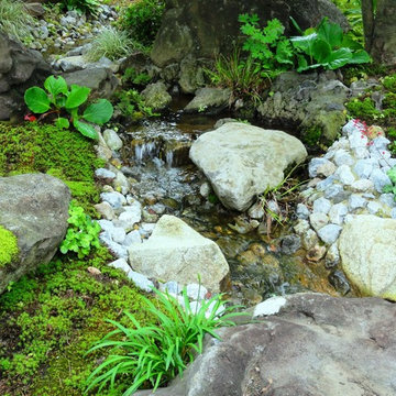 大きな日本庭園
