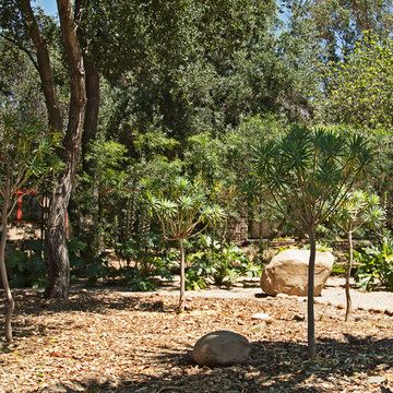 New 1-Year-Old Garden