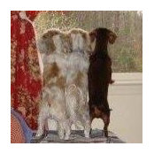 Judy Blazek's photo