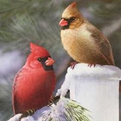 Kate Johnson's photo