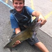 Cole Mitchell's photo