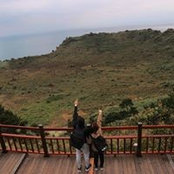 Shu Jia's photo