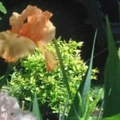 Theresa Eppinette's photo