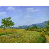 Thierry Hennequin's photo