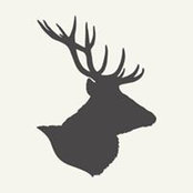 Julian Hektor's photo