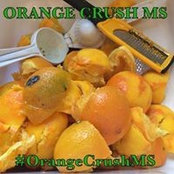 Michelle Dooley's photo