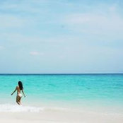 Thao Nguyen's photo