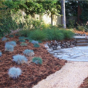 Landscape Design & Installation
