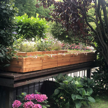 Un Piccolo Tetto Giardino, Cuneo