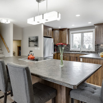 Saskatoon, Renovation - Terra