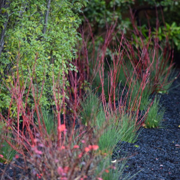 Entry pathway and steps