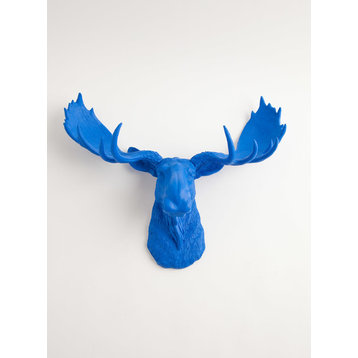 Faux Moose Head Wall Mount, Blue