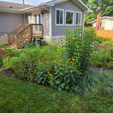 Established Native Plant Side Garden | Fairfax, VA