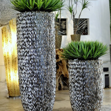 Emilio Robba Plantscaping - Yucca