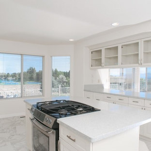 Reno Renovators Review]