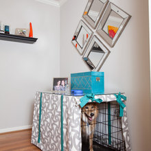 Dog Room