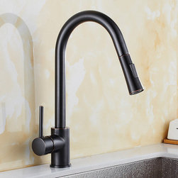 Antique Black Bronze Brass Kitchen Pull Out Kitchen Sink Faucet FB225P - Kitchen Faucets