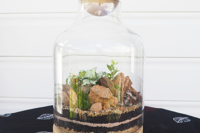 Eden Terrarium