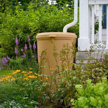 Rainwater Harvesting