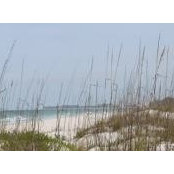 Dianne Dilbone's photo
