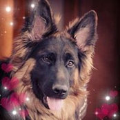 Toni Catucci's photo