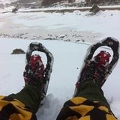Lloyd Meehan's photo