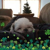 Jennifer Ahern Hufford's photo