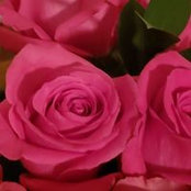 Donna Johnson's photo