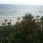 Gloria Wargel's photo