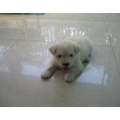Emmanuel Castro's photo