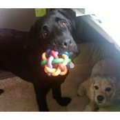 Kathryn Klepinger's photo