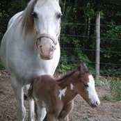 Renee Pittman's photo