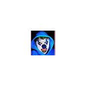Alex K.'s photo