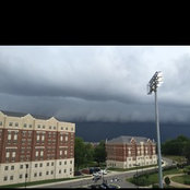 Brandon Young's photo