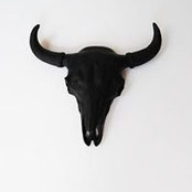 Claudio Giambusso's photo