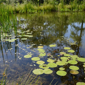 Millerton Retreat: Pond