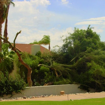 Monsoon