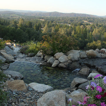 Water Falls, Ponds and Streams
