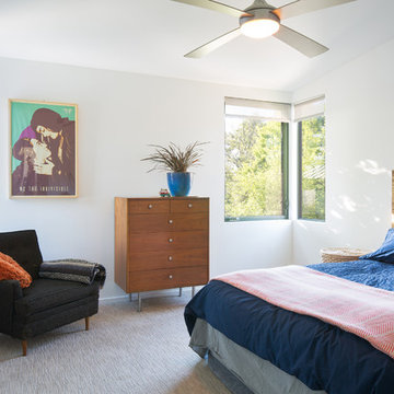 Hyde Park Bungalow Renovation and Addition