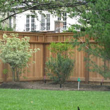 Landscape Ideas