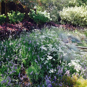 Upper Rockridge
