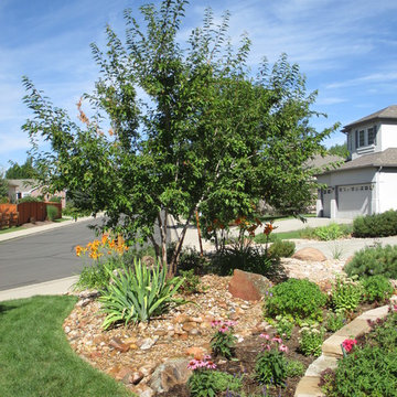 Beautiful Garden aside Driveway